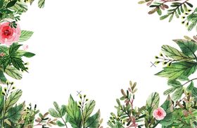 花边素材