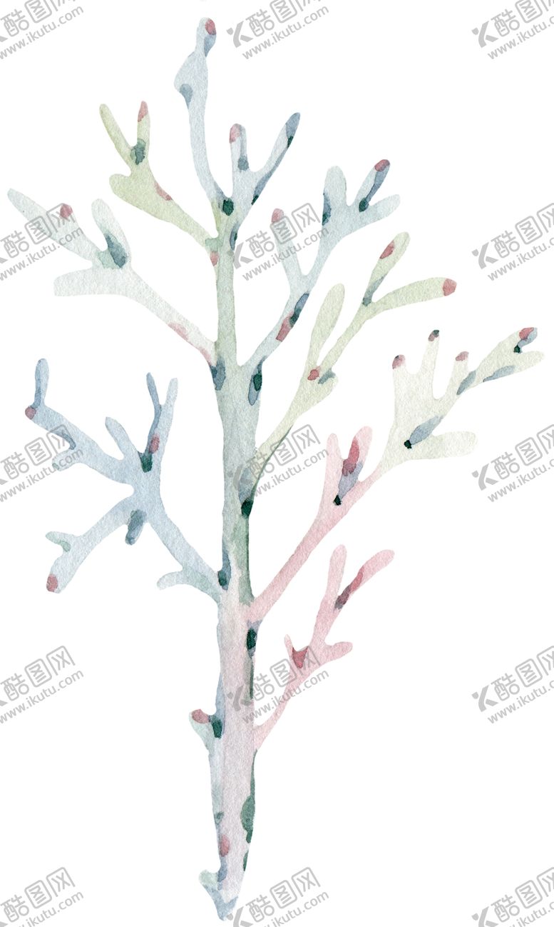 编号：76773909210541407361【酷图网】源文件下载-手绘植物