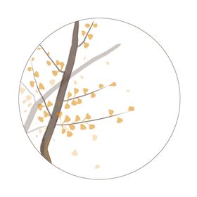 秋天银杏叶