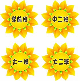 太阳花