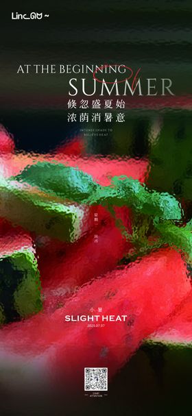小暑西瓜微单
