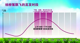 杨柳絮飘飞的高发时段图