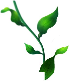 绿色背景图片免扣花纹