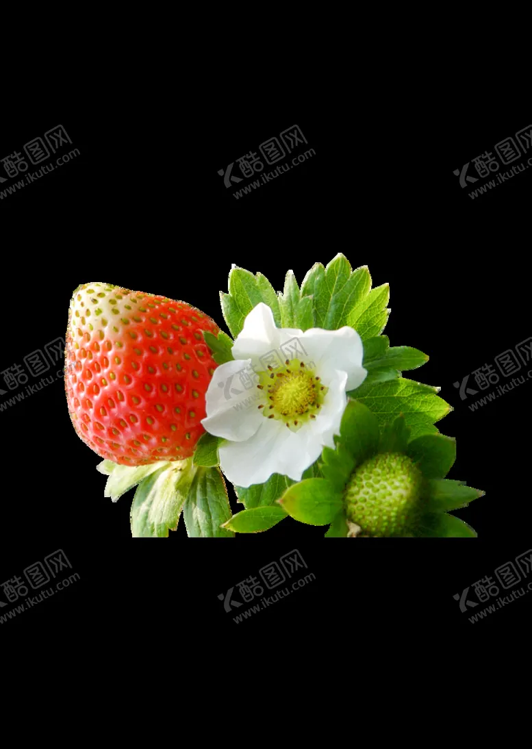 编号：96523010011036369037【酷图网】源文件下载-草莓抠图02