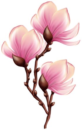 手绘花素材