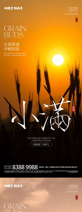 二十四节气小满意境海报