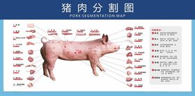 猪肉分割图超市产品