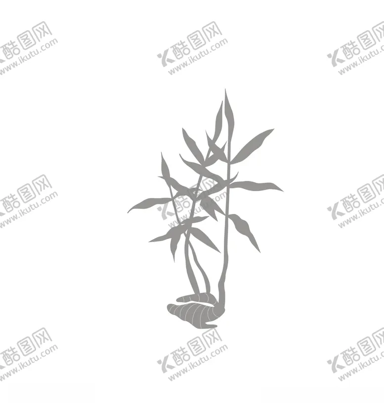 编号：52885406251410516480【酷图网】源文件下载-生姜