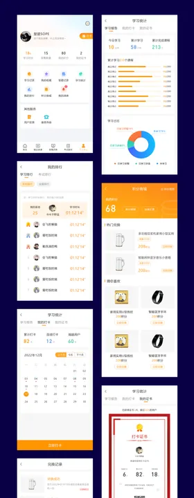 考研考公教育类APP页面