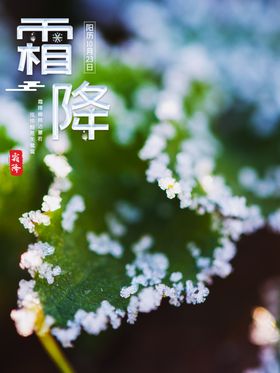霜降