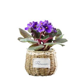 紫花编织盆栽摆件
