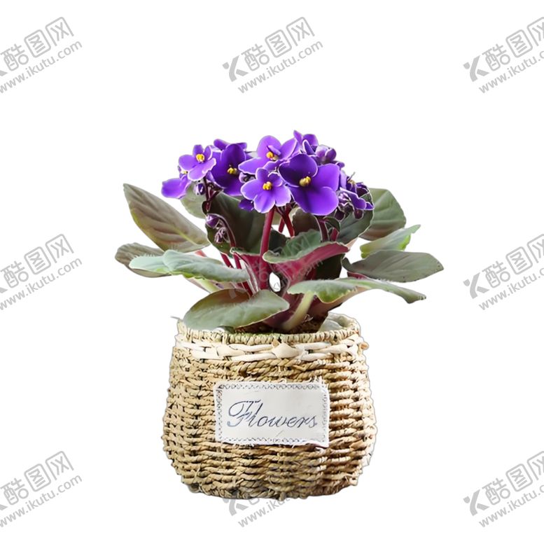 编号：10119904081646518839【酷图网】源文件下载-紫花编织盆栽摆件