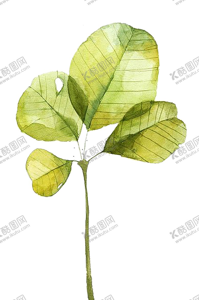 编号：35747609232049375247【酷图网】源文件下载-水墨