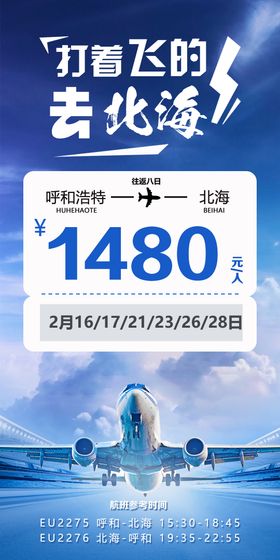 旅游机票海报