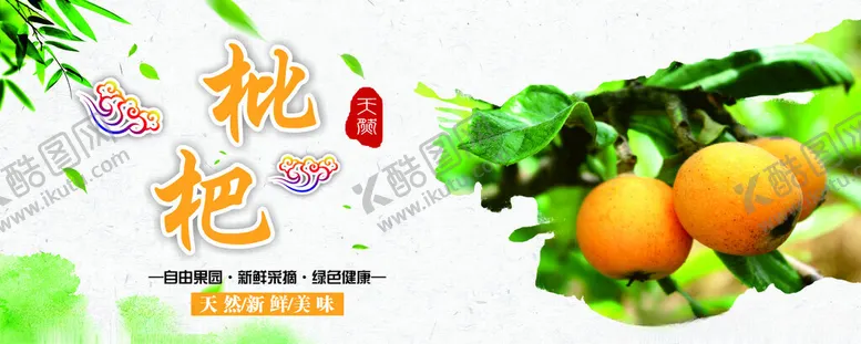 编号：69398302150357597251【酷图网】源文件下载-枇杷