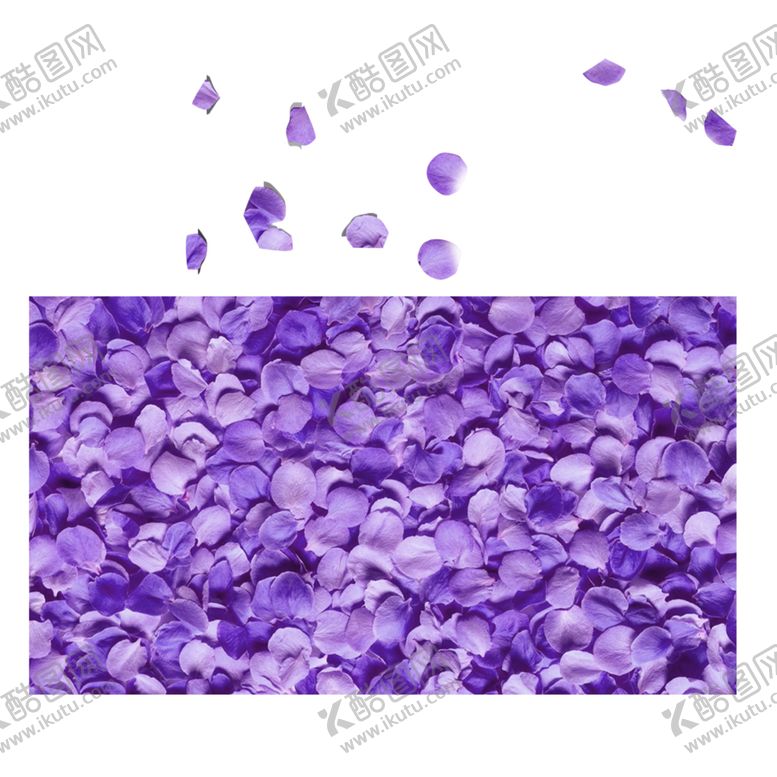 编号：64091105172253371205【酷图网】源文件下载-手绘植物花卉
