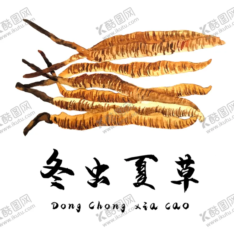 编号：42289903311306202580【酷图网】源文件下载-草本植物药材