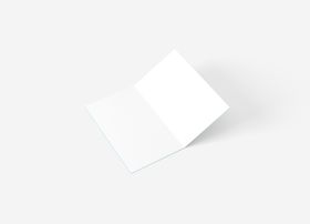 二折页品牌VI样机