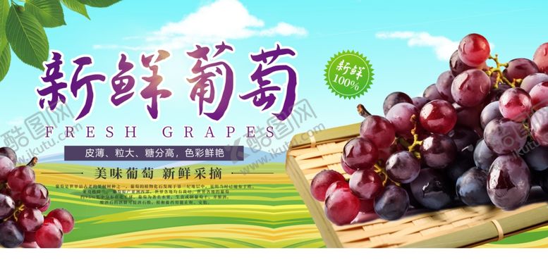 编号：10407410022307189202【酷图网】源文件下载-新鲜葡萄