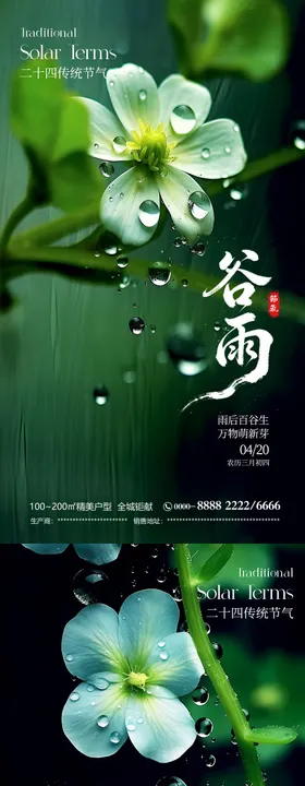 谷雨传统节气海报