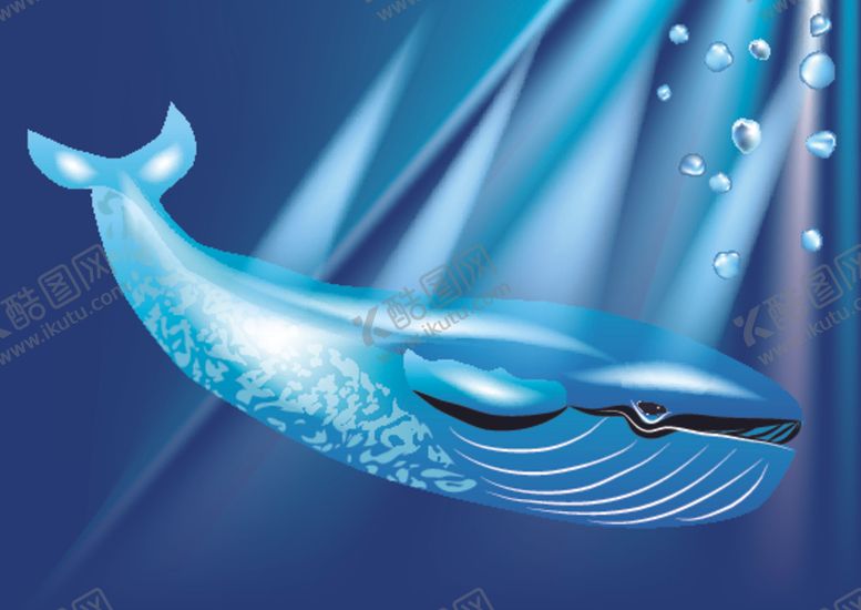 编号：72256510281613372263【酷图网】源文件下载-鲸鱼