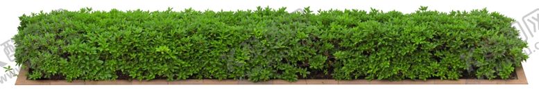 编号：36173610280725347026【酷图网】源文件下载-免扣植物素材图片