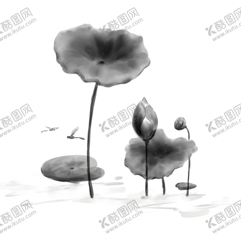 编号：81519501190232267242【酷图网】源文件下载-荷花素材