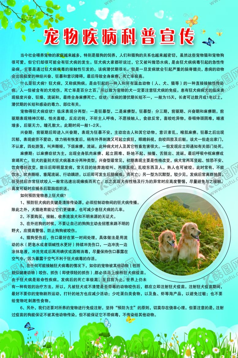 编号：95066901190930092853【酷图网】源文件下载-宠物疾病科普宣传