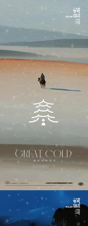 24节气创意海报大寒海报