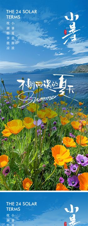 小暑节气海报夏天花朵二十四