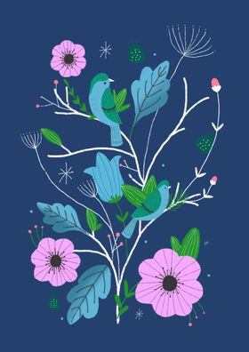 插画鸟