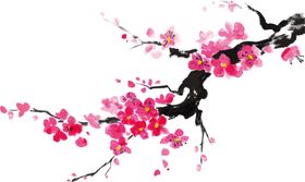 中国风水墨梅