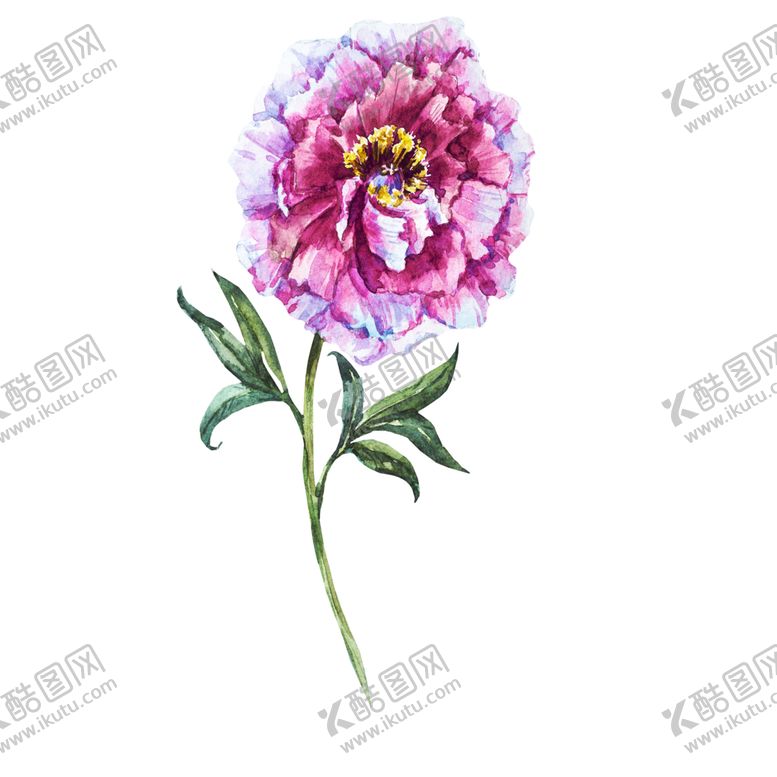 编号：49319807011902476996【酷图网】源文件下载-手绘植物