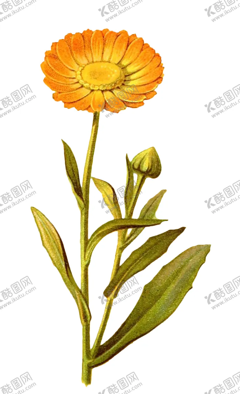 编号：11690302030059334144【酷图网】源文件下载-复古插画