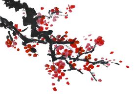 中国风水墨梅