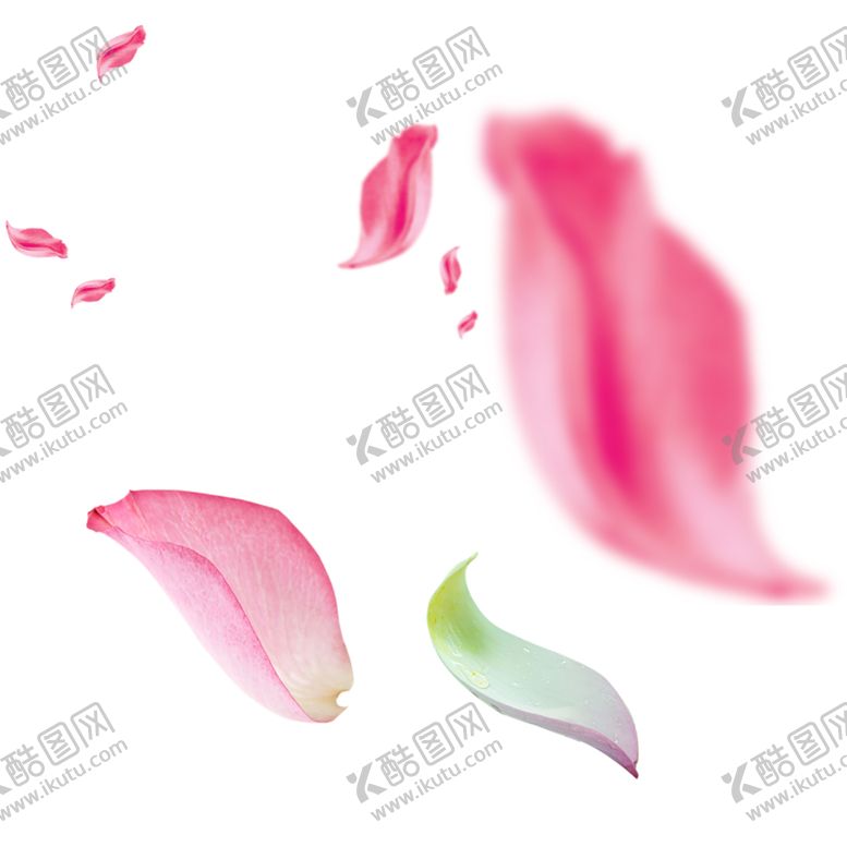 编号：25820510080000044356【酷图网】源文件下载-手绘植物花卉