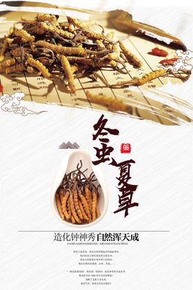 冬虫夏草中药活动宣传海报素材