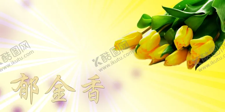 编号：68605503282137181065【酷图网】源文件下载-黄色郁金香