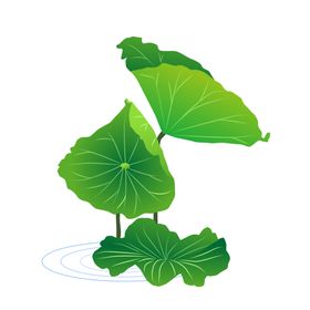 荷花元素