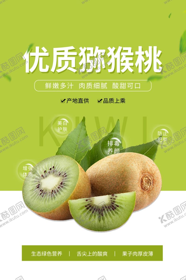 编号：65266210031116016675【酷图网】源文件下载-猕猴桃