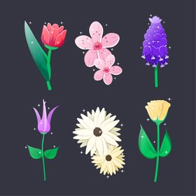 各种花朵手绘