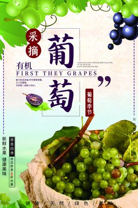 葡萄采摘园葡萄广告