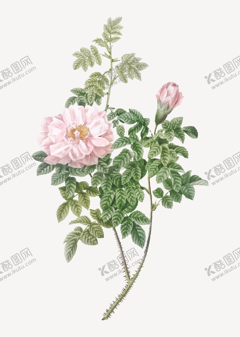 编号：58951807031553464742【酷图网】源文件下载-花纹