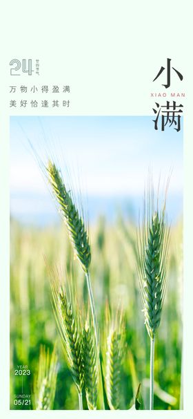 小满传统节气节气海报壁纸微信海报