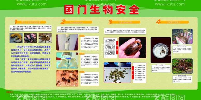 编号：18386011300514263849【酷图网】源文件下载- 国门生物安全