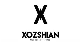 X字母logo标志元素
