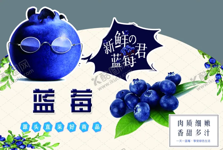编号：70499112090243153579【酷图网】源文件下载-蓝莓