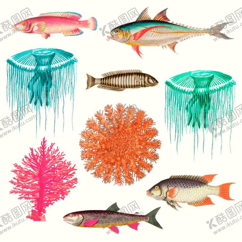 编号：17032509170941285691【酷图网】源文件下载-海洋生物合集