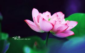 风景