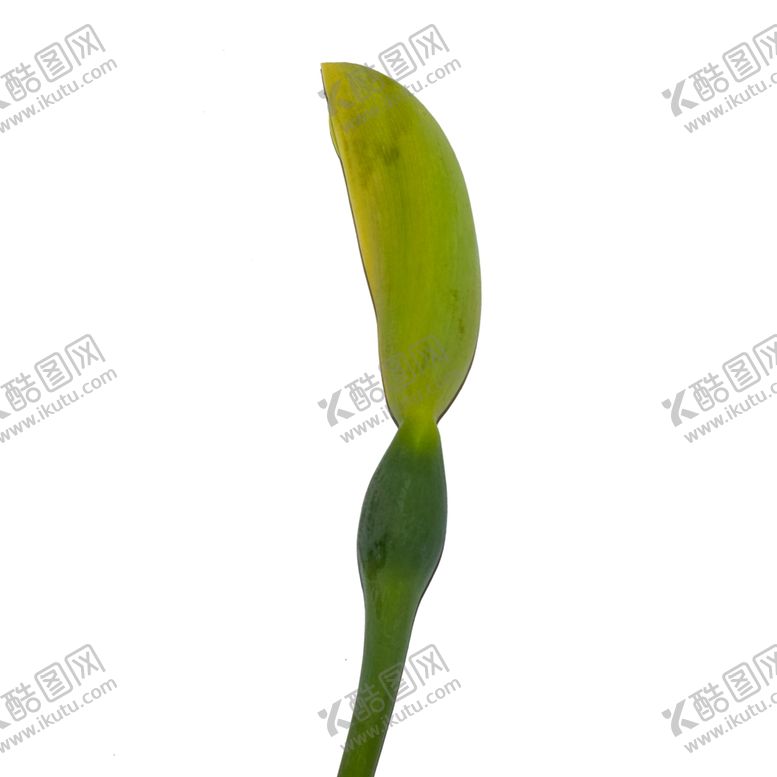 编号：66339610010723185292【酷图网】源文件下载-树叶